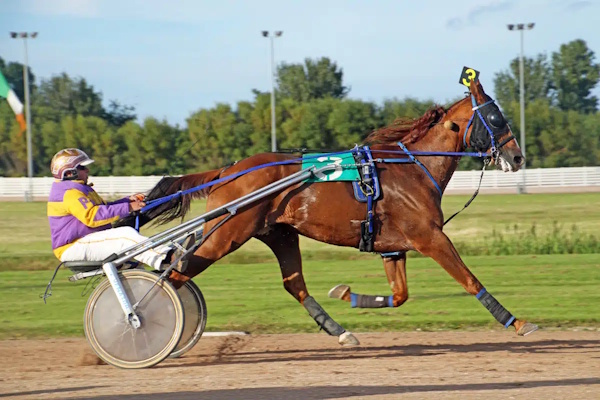 Tir Prince Raceway Towyn